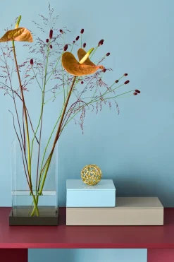 Lux lacquered storage box 38x19x7 cm, Fawn