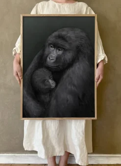 Mountain gorilla poster, 50x70 cm