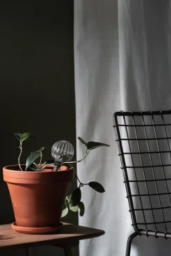 Muurla self-watering 15 cm, Clear