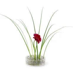 Äng vase, pond, Stainless steel