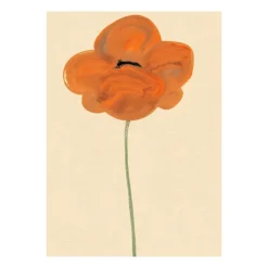 Orange Vallmo poster, 50x70 cm
