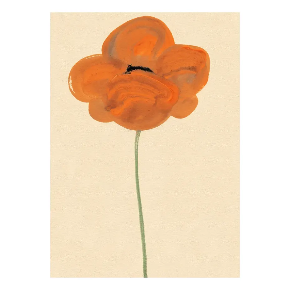 Orange Vallmo poster, 50x70 cm