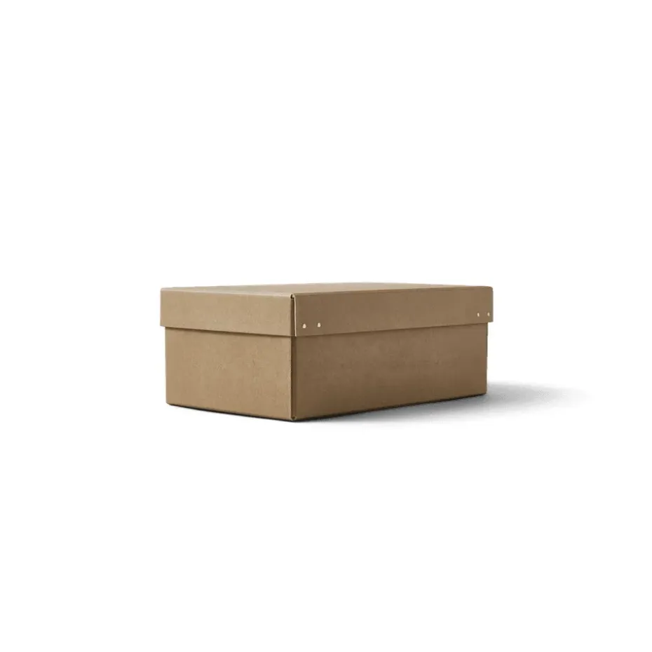 Ordinary storage box 2-pack, Brown