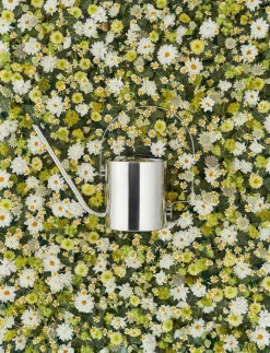 Original watering can 1.7 l, stainless steel