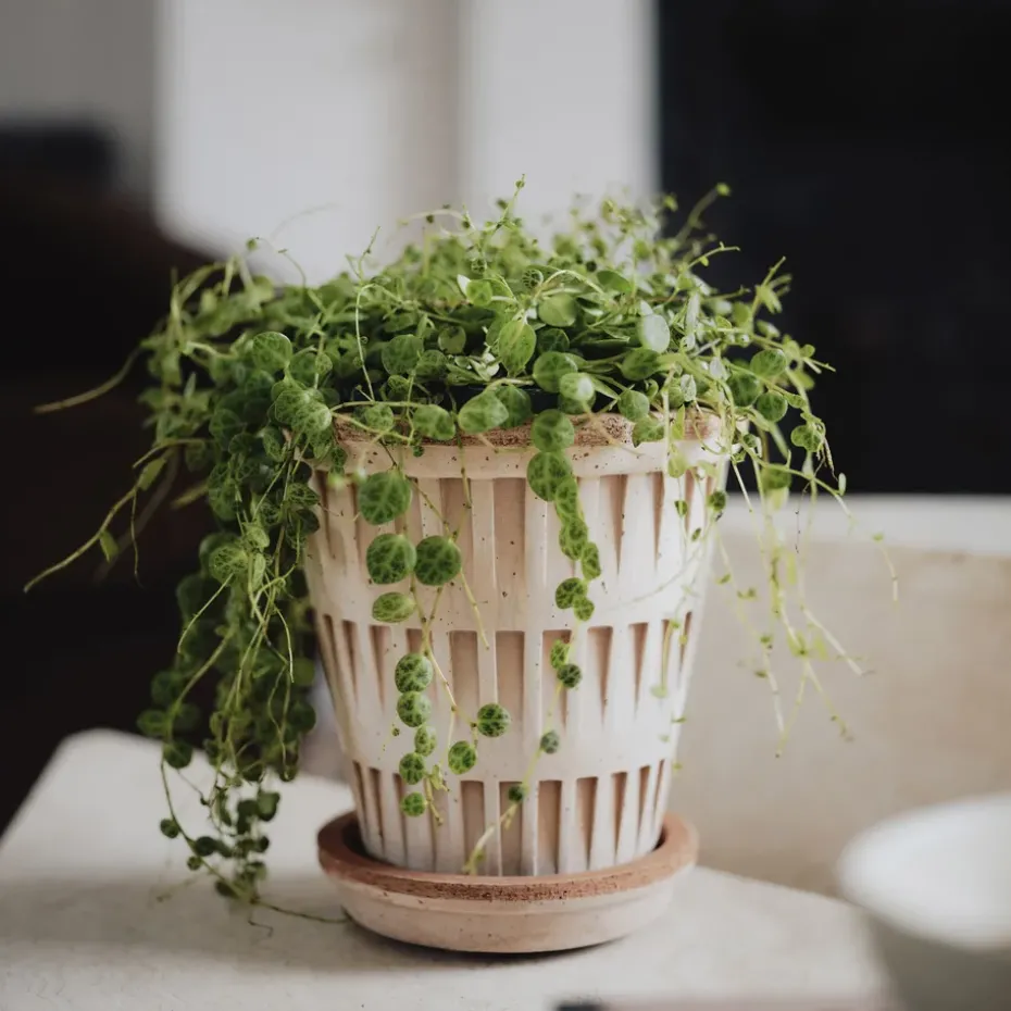 Pantheon raw pot, Pink, Ø14 cm