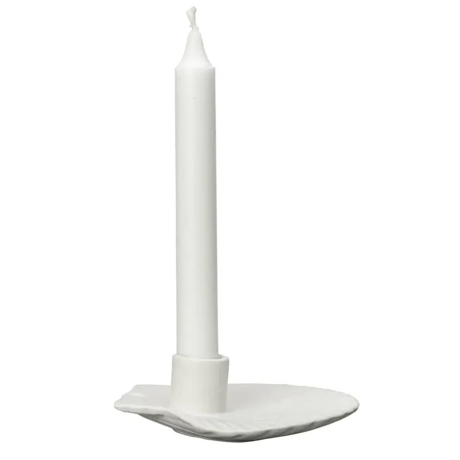 Shell candle sticks 15.5 cm, White