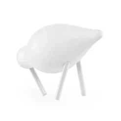 Shorebird white, small