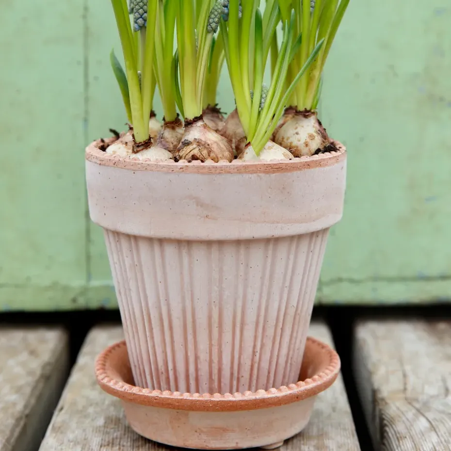 Simona flower pot 14 cm, Pink
