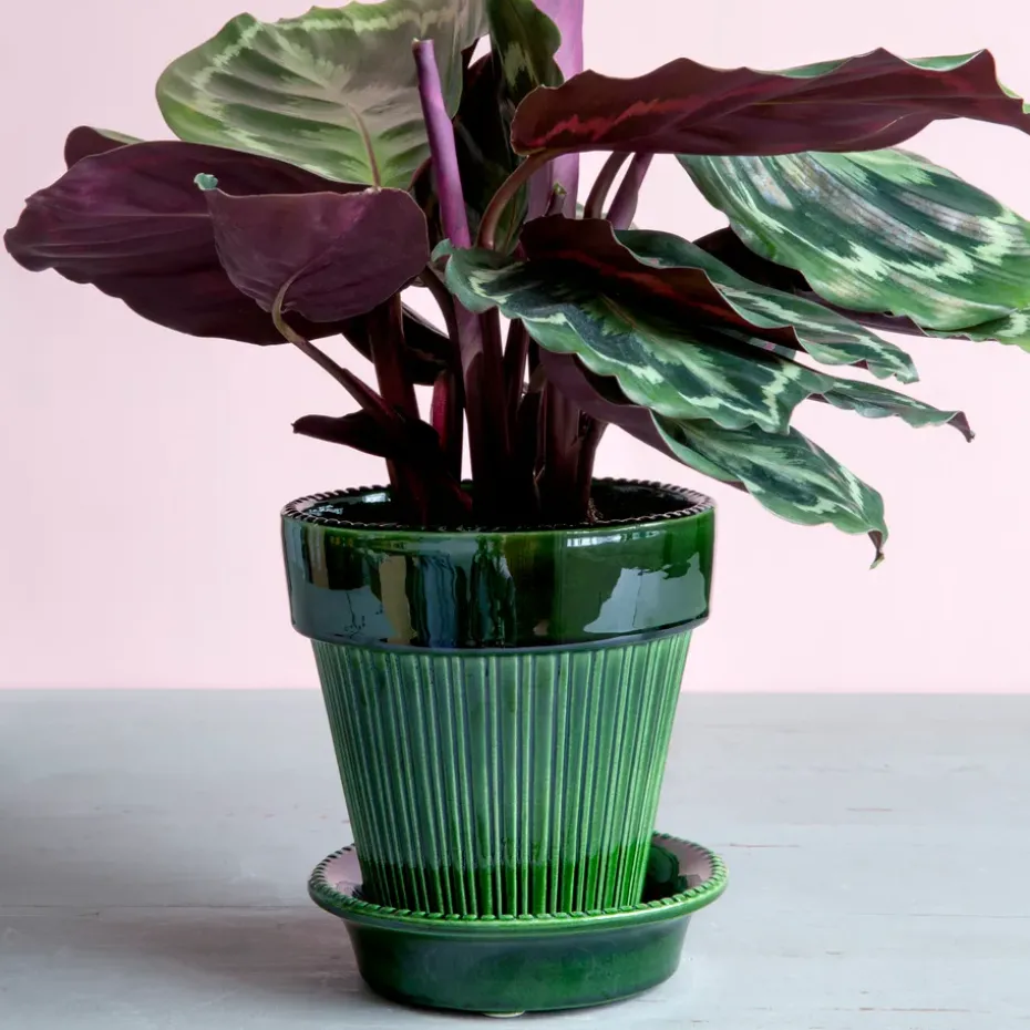 Simona flower pot glazed Ø16 cm, Green