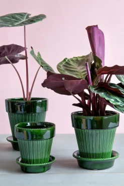 Simona flower pot glazed Ø12 cm, Green