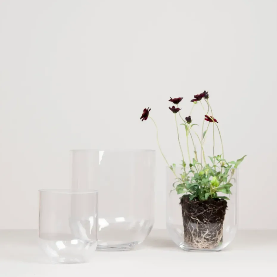 Simple glass vase large, Clear