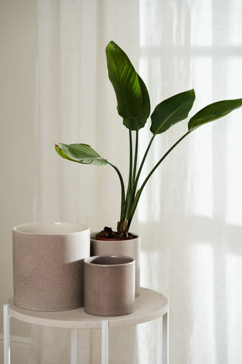 Sleek pot Ø12 cm, Beige