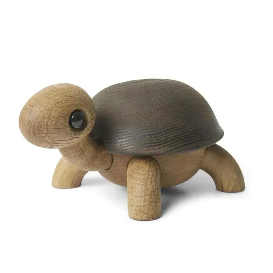 Slowy tortoise decoration, Oak-ash