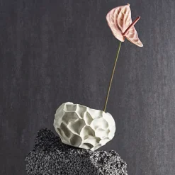 Soil flower pot Ø18 cm, vanilla