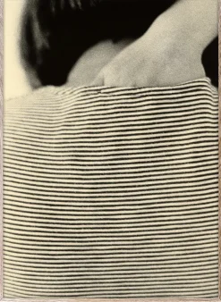 Striped Shirt poster, 50x70 cm