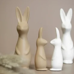 Swedish rabbit small, white