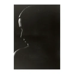 The Silhouette poster, 30x40 cm
