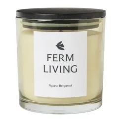 Vitto scented candle 45 h, Light Celedon